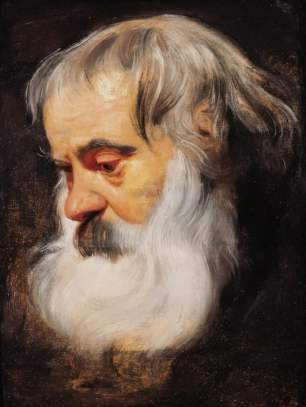 Retrato de antigo diretor criativo português de cabelo grisalho